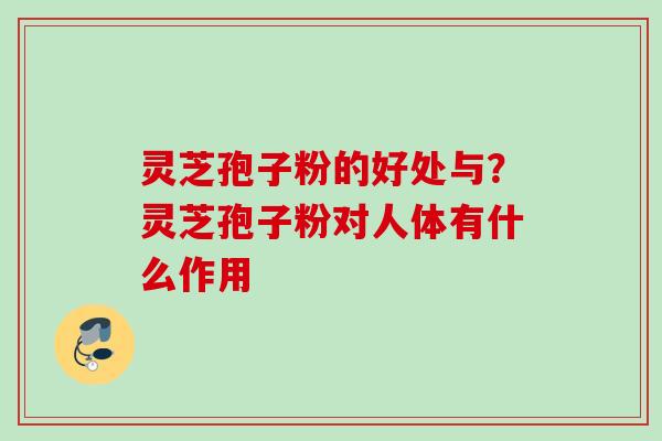 灵芝孢子粉的好处与？灵芝孢子粉对人体有什么作用