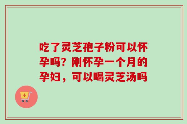吃了灵芝孢子粉可以怀孕吗？刚怀孕一个月的孕妇，可以喝灵芝汤吗