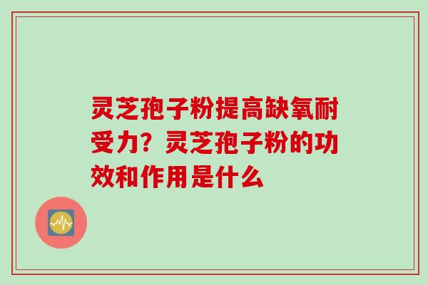 灵芝孢子粉提高缺氧耐受力？灵芝孢子粉的功效和作用是什么