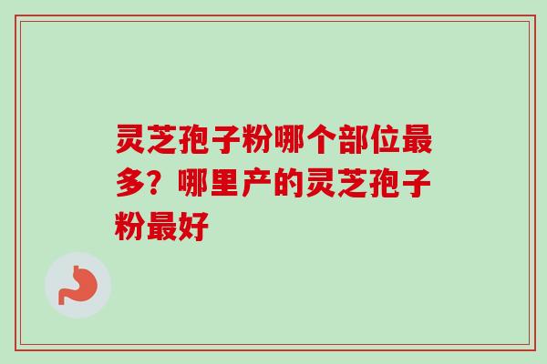 灵芝孢子粉哪个部位最多？哪里产的灵芝孢子粉最好