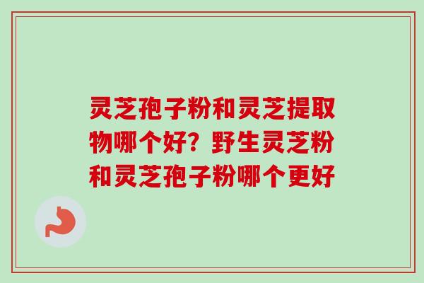 灵芝孢子粉和灵芝提取物哪个好?野生灵芝粉和灵芝孢子粉哪个更好 灵芝孢子粉和灵芝提取物哪个好?野生灵芝粉和灵芝孢子粉哪个更好