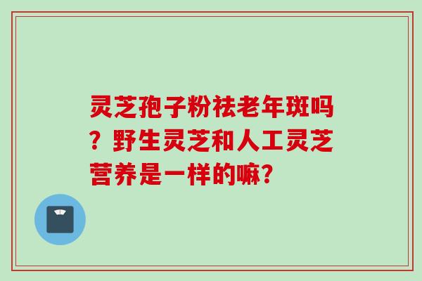 灵芝孢子粉祛老年斑吗？野生灵芝和人工灵芝营养是一样的嘛？