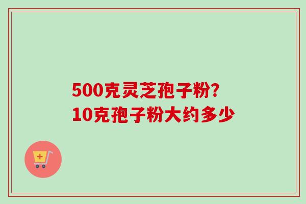 500克灵芝孢子粉？10克孢子粉大约多少