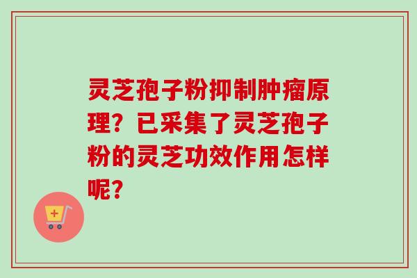 灵芝孢子粉抑制肿瘤原理？已采集了灵芝孢子粉的灵芝功效作用怎样呢？