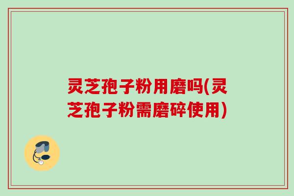 灵芝孢子粉用磨吗(灵芝孢子粉需磨碎使用)