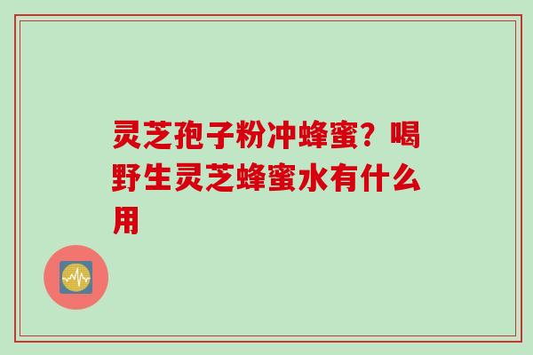 灵芝孢子粉冲蜂蜜？喝野生灵芝蜂蜜水有什么用