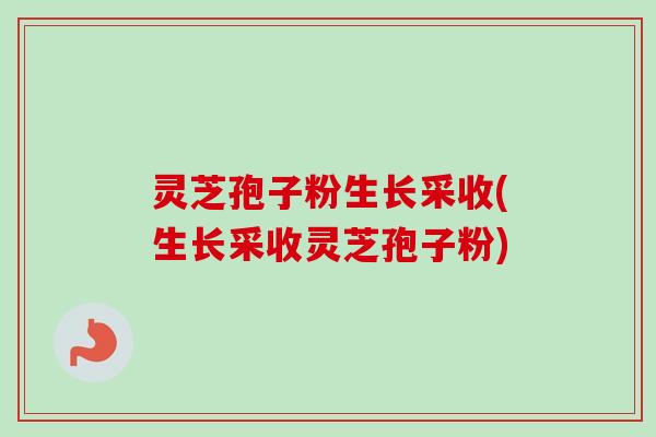 灵芝孢子粉生长采收(生长采收灵芝孢子粉)
