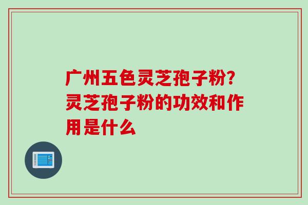 广州五色灵芝孢子粉？灵芝孢子粉的功效和作用是什么