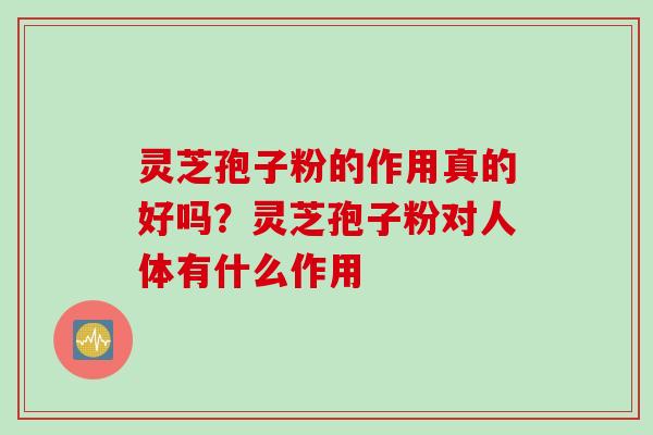 灵芝孢子粉的作用真的好吗？灵芝孢子粉对人体有什么作用