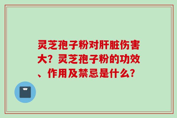 灵芝孢子粉对肝脏伤害大？灵芝孢子粉的功效、作用及禁忌是什么？