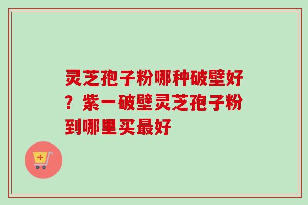 灵芝孢子粉哪种破壁好？紫一破壁灵芝孢子粉到哪里买最好