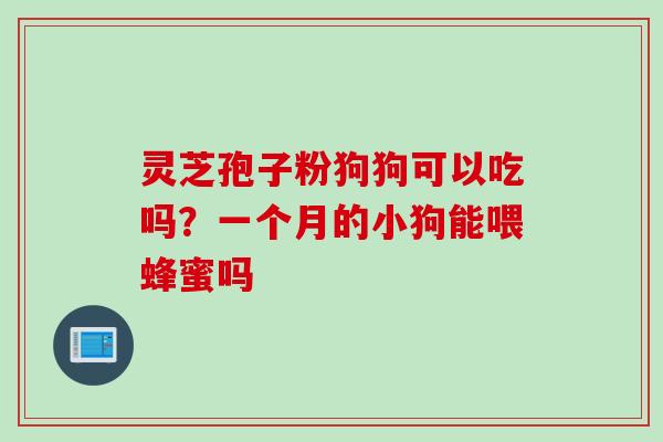灵芝孢子粉狗狗可以吃吗？一个月的小狗能喂蜂蜜吗