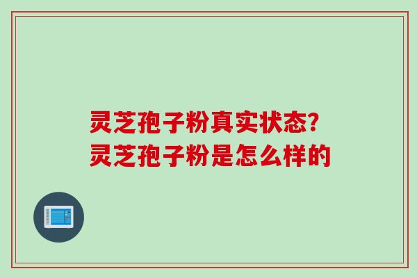 灵芝孢子粉真实状态？灵芝孢子粉是怎么样的