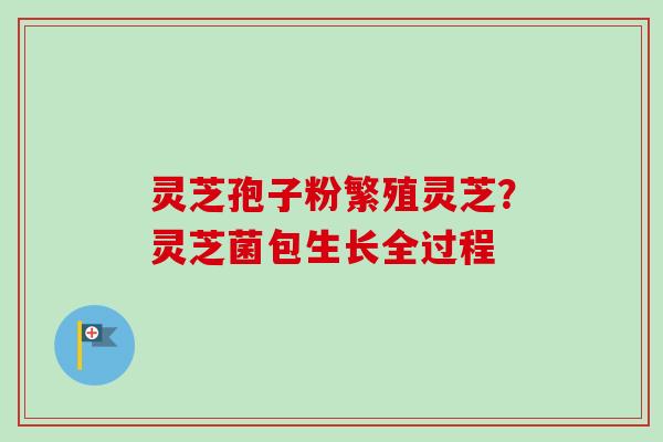 灵芝孢子粉繁殖灵芝？灵芝菌包生长全过程