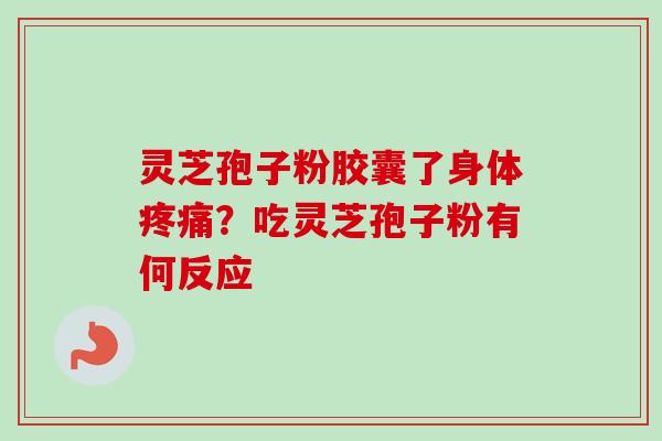 灵芝孢子粉胶囊了身体疼痛？吃灵芝孢子粉有何反应