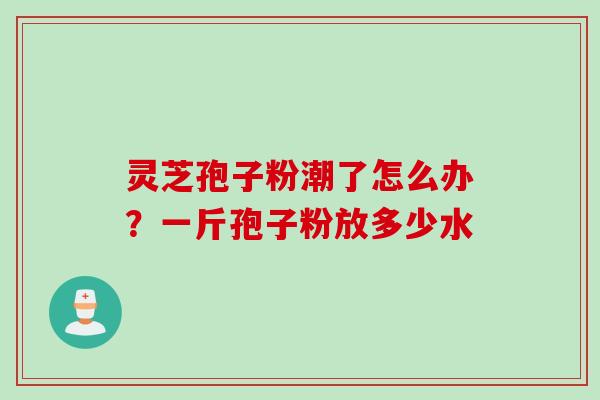 灵芝孢子粉潮了怎么办？一斤孢子粉放多少水