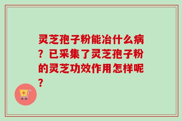灵芝孢子粉能冶什么病？已采集了灵芝孢子粉的灵芝功效作用怎样呢？