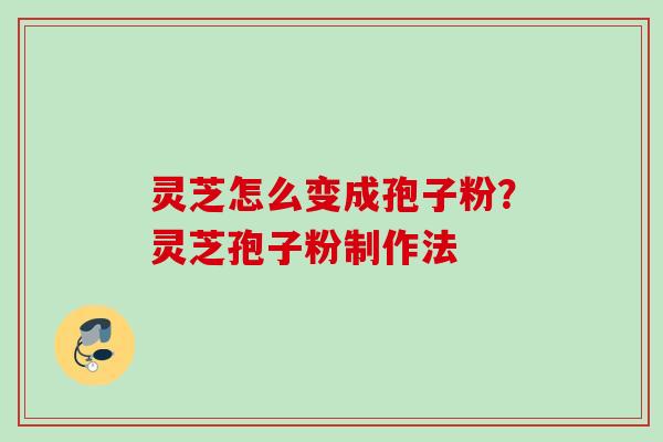 灵芝怎么变成孢子粉？灵芝孢子粉制作法