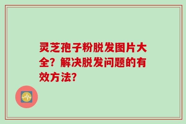 灵芝孢子粉脱发图片大全？解决脱发问题的有效方法？
