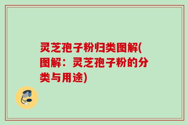 灵芝孢子粉归类图解(图解：灵芝孢子粉的分类与用途)