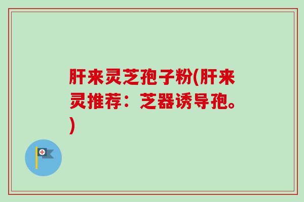 肝来灵芝孢子粉(肝来灵推荐：芝器诱导孢。)