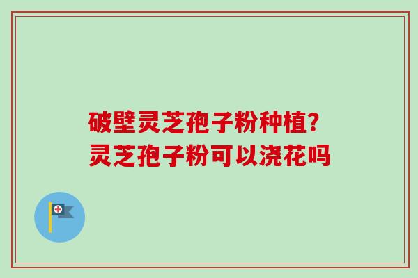 破壁灵芝孢子粉种植？灵芝孢子粉可以浇花吗