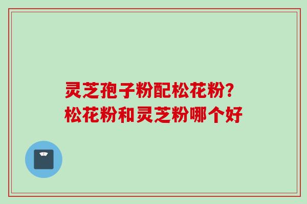 灵芝孢子粉配松花粉？松花粉和灵芝粉哪个好