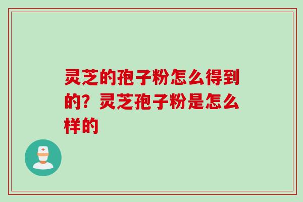 灵芝的孢子粉怎么得到的？灵芝孢子粉是怎么样的
