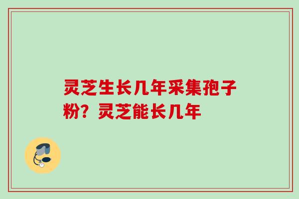 灵芝生长几年采集孢子粉？灵芝能长几年