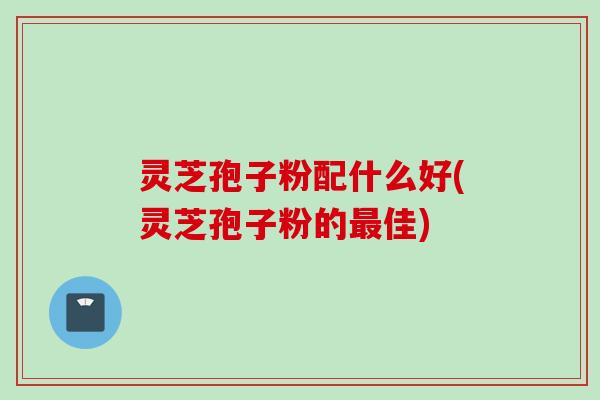 灵芝孢子粉配什么好(灵芝孢子粉的最佳)