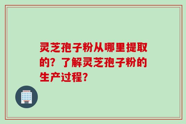 灵芝孢子粉从哪里提取的？了解灵芝孢子粉的生产过程？