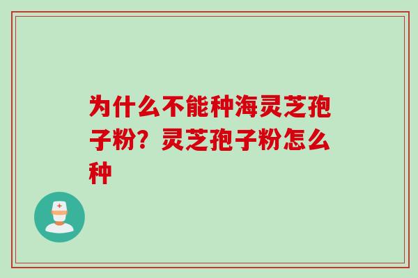 为什么不能种海灵芝孢子粉？灵芝孢子粉怎么种