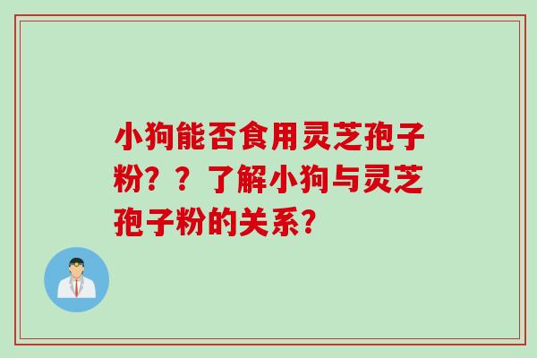 小狗能否食用灵芝孢子粉？？了解小狗与灵芝孢子粉的关系？