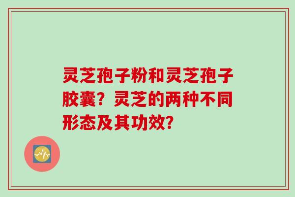 灵芝孢子粉和灵芝孢子胶囊？灵芝的两种不同形态及其功效？