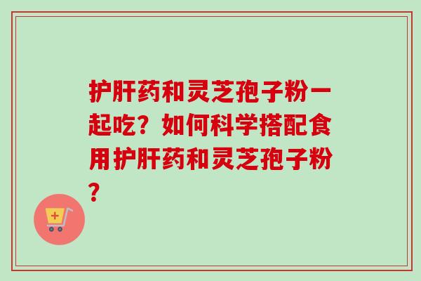 护肝药和灵芝孢子粉一起吃？如何科学搭配食用护肝药和灵芝孢子粉？