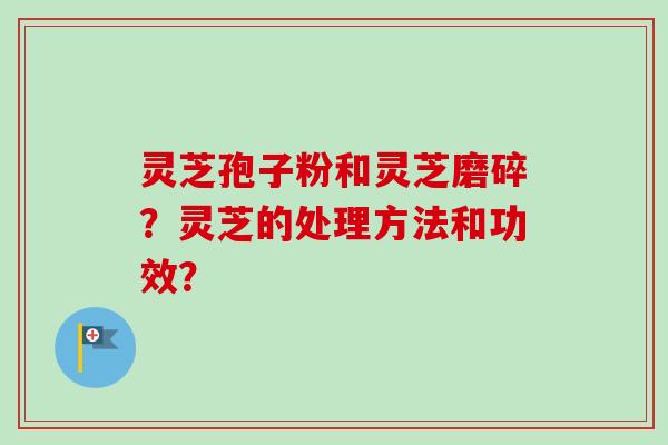 灵芝孢子粉和灵芝磨碎？灵芝的处理方法和功效？