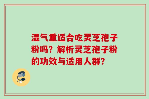 湿气重适合吃灵芝孢子粉吗？解析灵芝孢子粉的功效与适用人群？