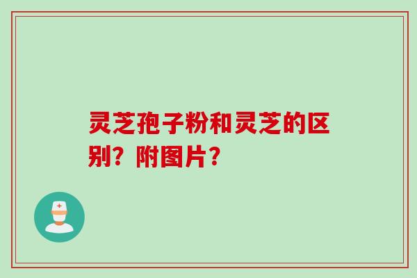 灵芝孢子粉和灵芝的区别？附图片？