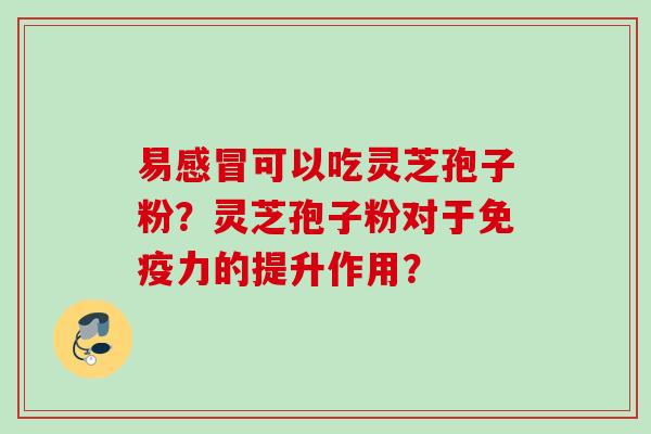 易感冒可以吃灵芝孢子粉？灵芝孢子粉对于免疫力的提升作用？