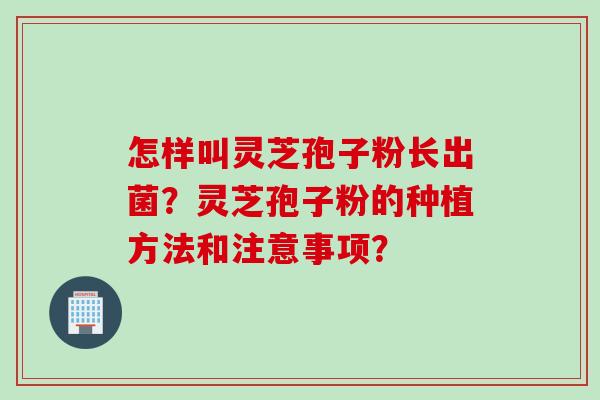 怎样叫灵芝孢子粉长出菌？灵芝孢子粉的种植方法和注意事项？