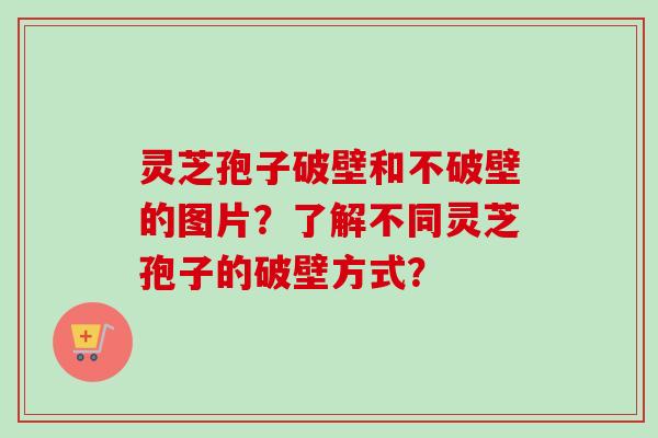 灵芝孢子破壁和不破壁的图片？了解不同灵芝孢子的破壁方式？