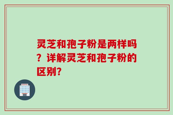灵芝和孢子粉是两样吗？详解灵芝和孢子粉的区别？