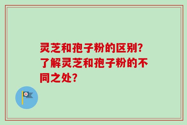灵芝和孢子粉的区别？了解灵芝和孢子粉的不同之处？