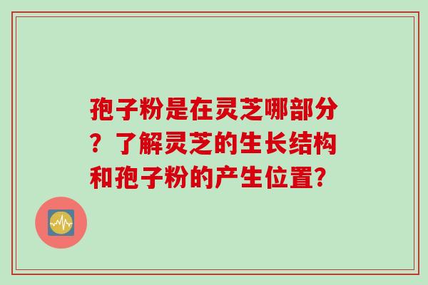 孢子粉是在灵芝哪部分？了解灵芝的生长结构和孢子粉的产生位置？