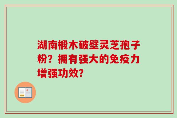湖南椴木破壁灵芝孢子粉？拥有强大的免疫力增强功效？