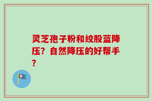灵芝孢子粉和绞股蓝降压？自然降压的好帮手？
