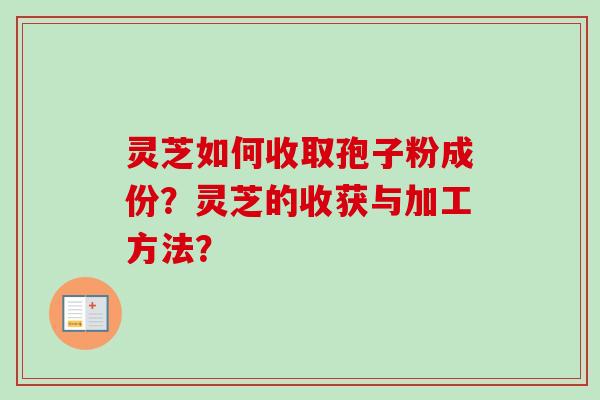 灵芝如何收取孢子粉成份？灵芝的收获与加工方法？