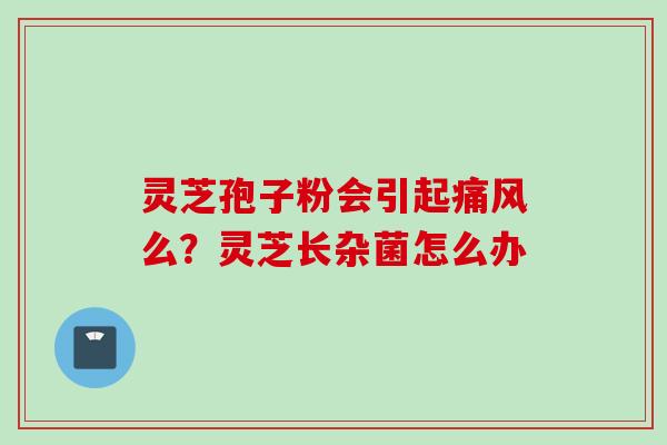 灵芝孢子粉会引起痛风么？灵芝长杂菌怎么办
