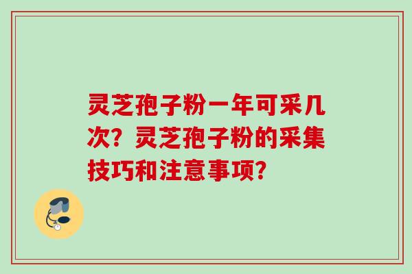 灵芝孢子粉一年可采几次？灵芝孢子粉的采集技巧和注意事项？