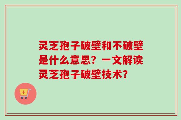 灵芝孢子破壁和不破壁是什么意思？一文解读灵芝孢子破壁技术？
